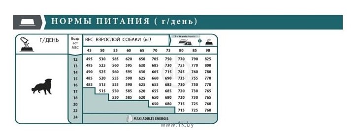 Фотографии Bab'in Signature Giant Junior 2eme Age