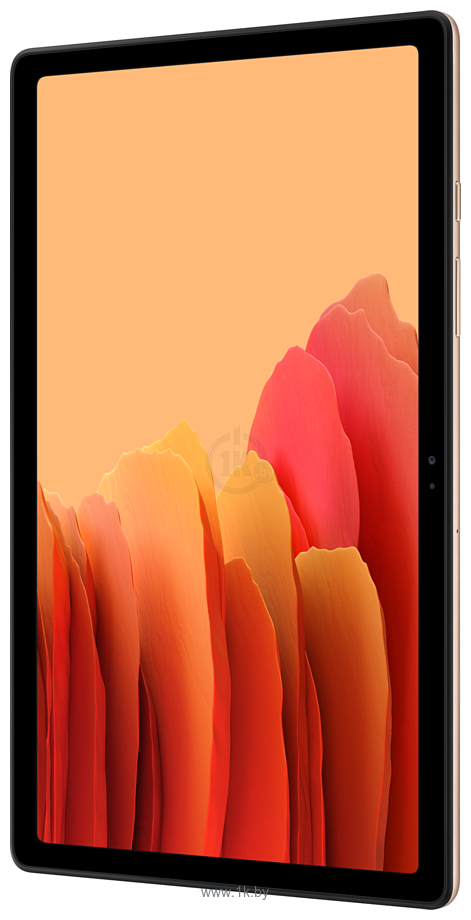 Фотографии Samsung Galaxy Tab A7 10.4 SM-T500 32Gb Wi-Fi