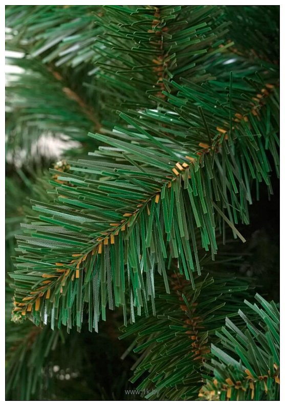 Фотографии Holiday Trees Беловежская 2 м
