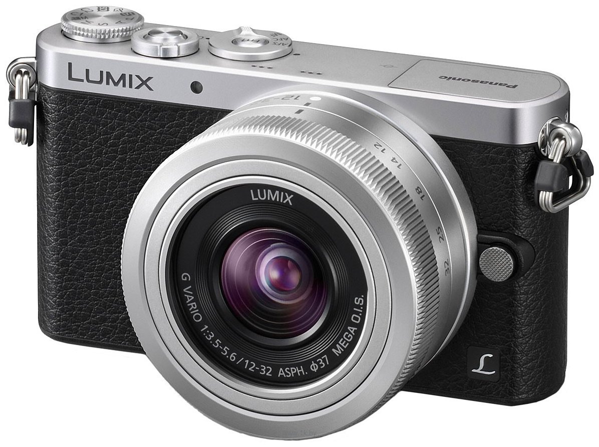 Фотографии Panasonic Lumix DMC-GM1 Kit