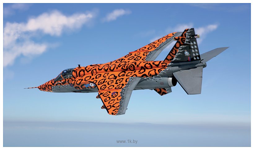 Фотографии Italeri 1357 Истребитель-бомбардировщик JAGUAR Gr.3 BIG CAT Sp. Colors