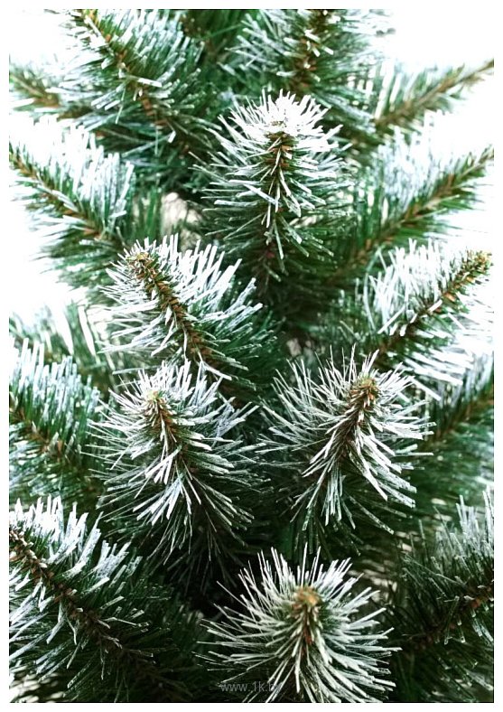 Фотографии Holiday Trees Альпийская 1.3 м