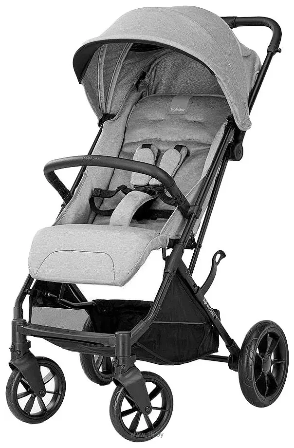 Фотографии Inglesina Zenit