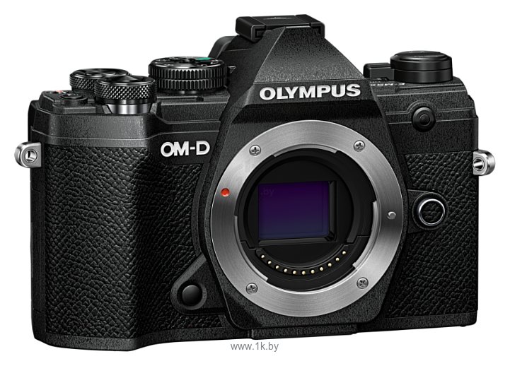 Фотографии Olympus OM-D E-M5 Mark III Body