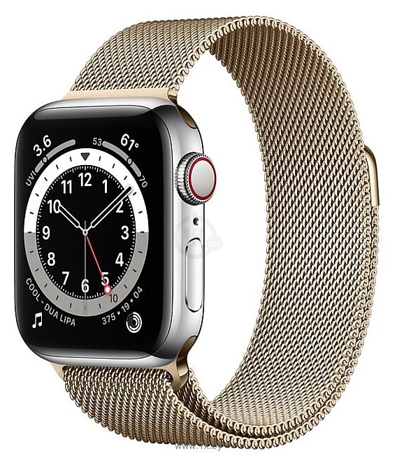 Фотографии Apple Watch Series 6 GPS + Cellular 40mm Stainless Steel Case with Milanese Loop