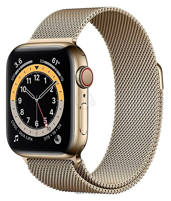 Фотографии Apple Watch Series 6 GPS + Cellular 40mm Stainless Steel Case with Milanese Loop