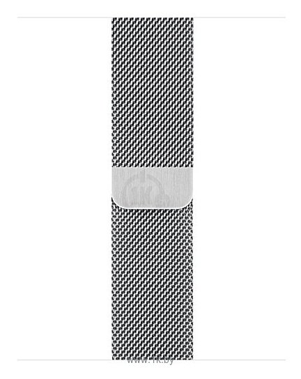 Фотографии Apple Watch Series 6 GPS + Cellular 40mm Stainless Steel Case with Milanese Loop