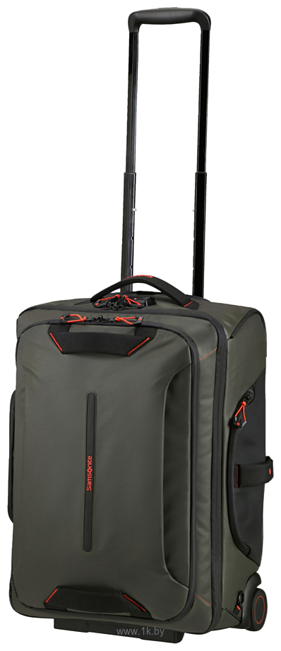 Фотографии Samsonite Ecodiver Climbing Ivy 55 см