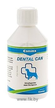 Фотографии Canina Dental Can
