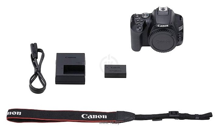 Фотографии Canon EOS 250D Body