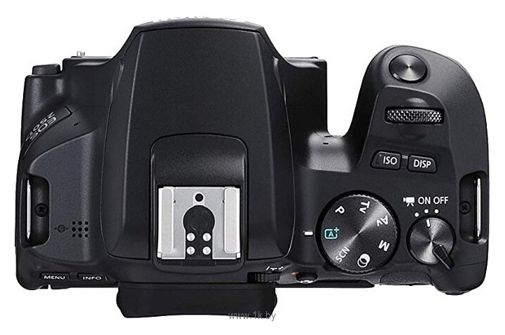Фотографии Canon EOS 250D Body