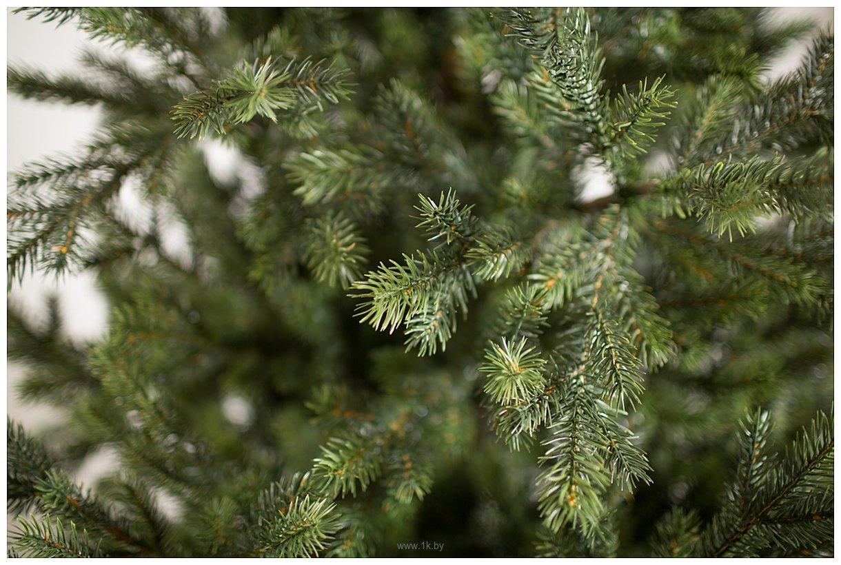 Фотографии Green Trees Бавария Люкс 2.1 м