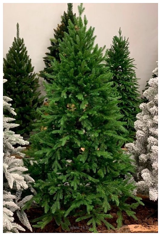 Фотографии Albero Di Natale Agata 2.1 м