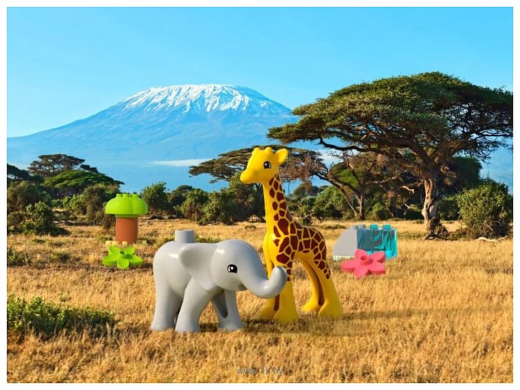 Фотографии LEGO Duplo 10971 Дикие животные Африки
