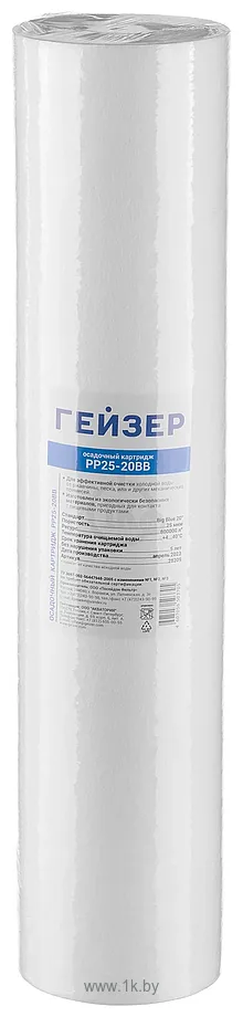 Фотографии Гейзер PP25 20BB