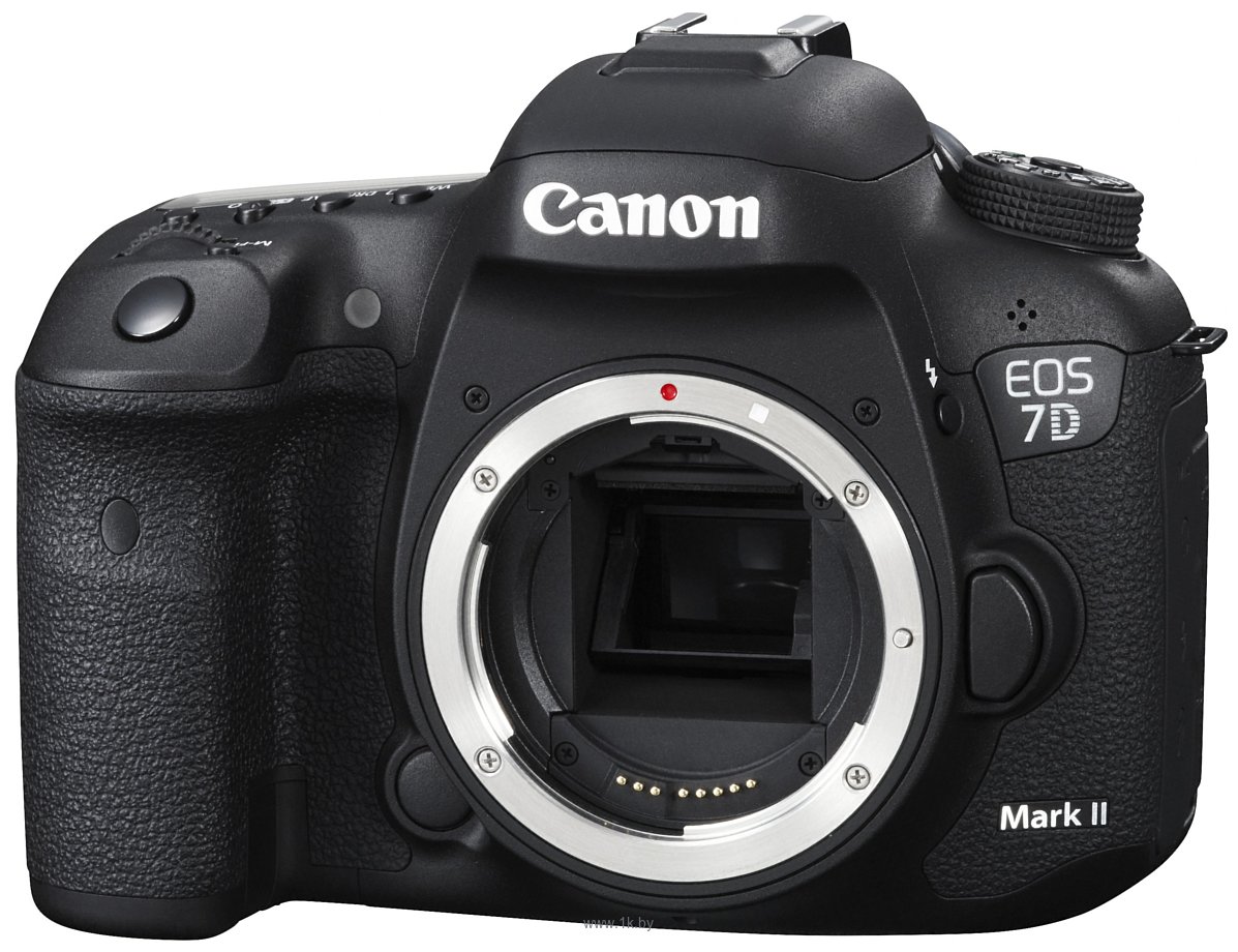 Фотографии Canon EOS 7D Mark II Body