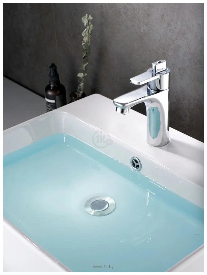 Фотографии Potato P10383 Фотографии Potato P10383