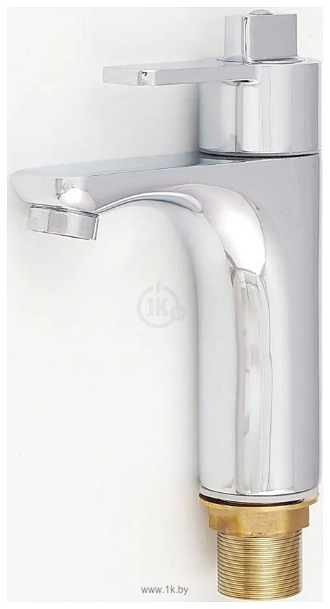 Фотографии Potato P10383 Фотографии Potato P10383