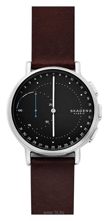 Фотографии SKAGEN Signatur (leather)