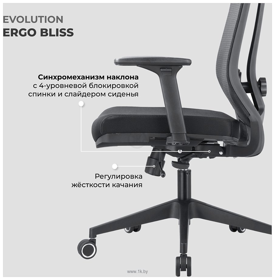 Фотографии Evolution ERGO BLISS Black (черный)