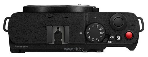 Фотографии Panasonic Lumix DC-S9 Body