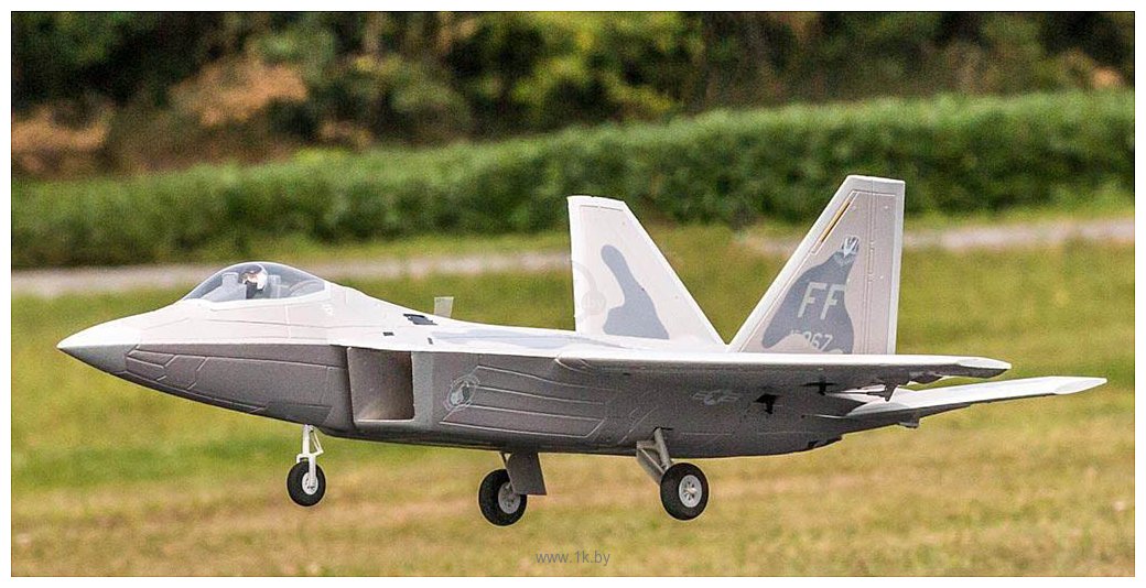 Фотографии FreeWing F22 4S PNP