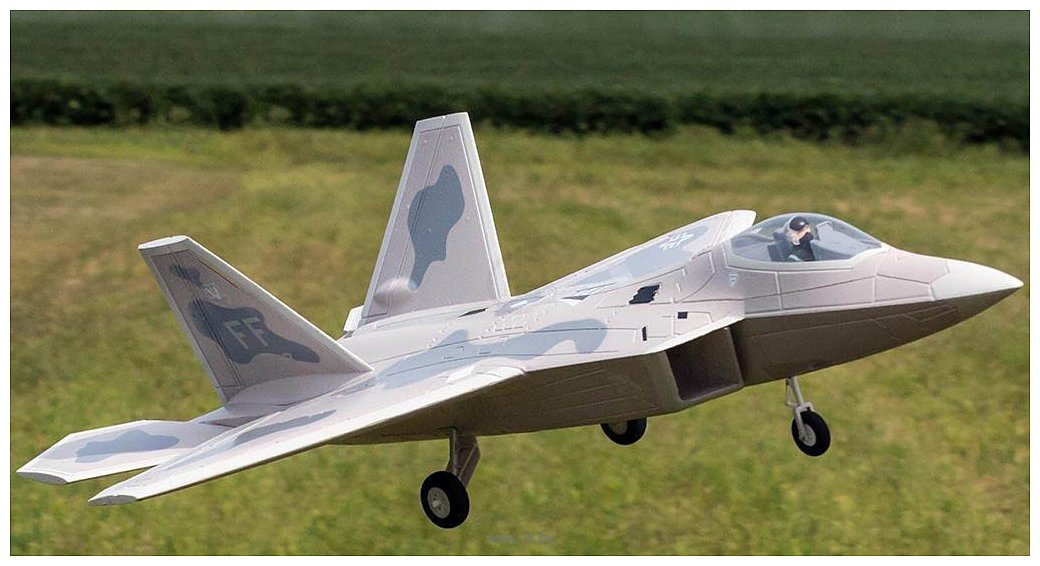 Фотографии FreeWing F22 4S PNP