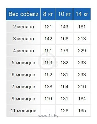 6 месяцев французского