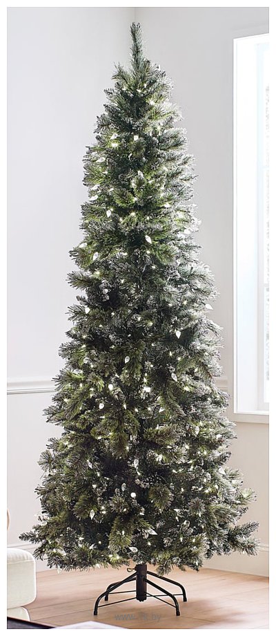 Фотографии National Tree Company Glittery Bristle Pine 2.25 м (GB3-319-75)