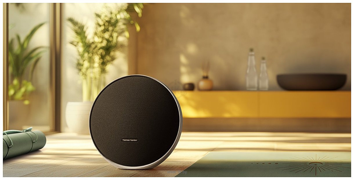 Фотографии Harman/Kardon Onyx Studio 9 