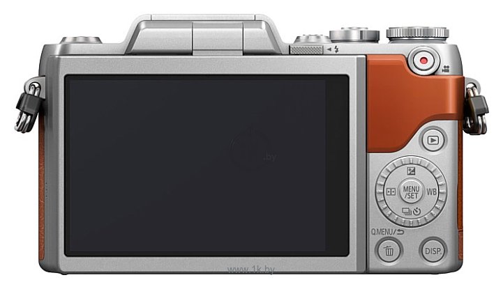Фотографии Panasonic Lumix DMC-GF8 Kit