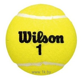 Фотографии Wilson Championship Extra Duty WRT100101 (3 шт)
