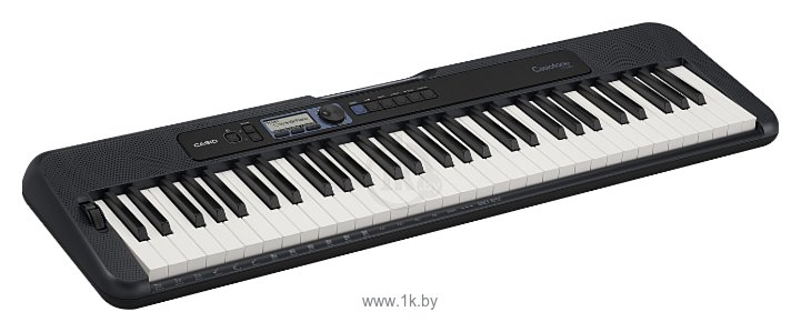 Фотографии CASIO CT-S300