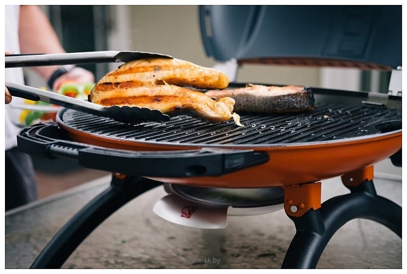 Фотографии O-grill 900MT (зеленый)