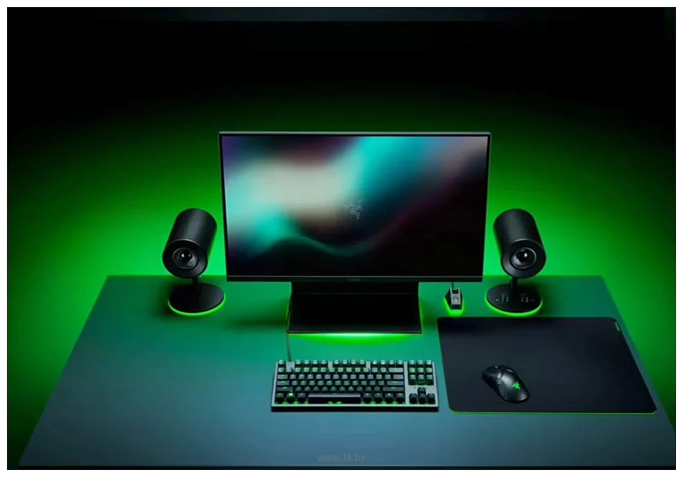 Фотографии Razer Gigantus V3 L