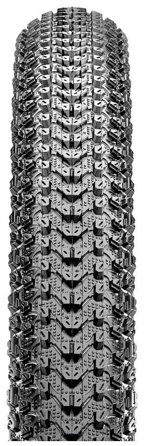 Фотографии Maxxis Pace 53-622 29x2.10 ETB96667000