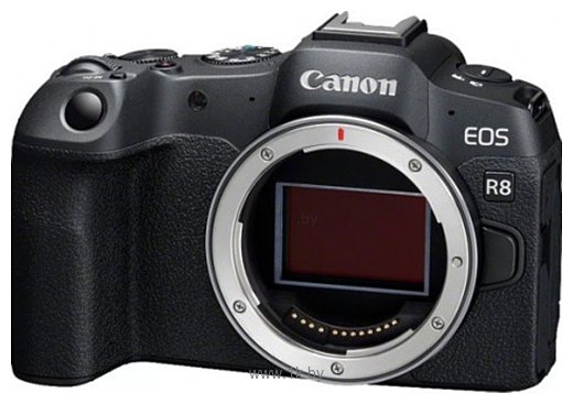Фотографии Canon EOS R8 Body