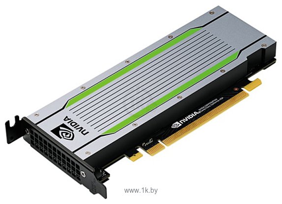 Фотографии NVIDIA Tesla T4 16GB GDDR6 (900-2G183-6300-T00)