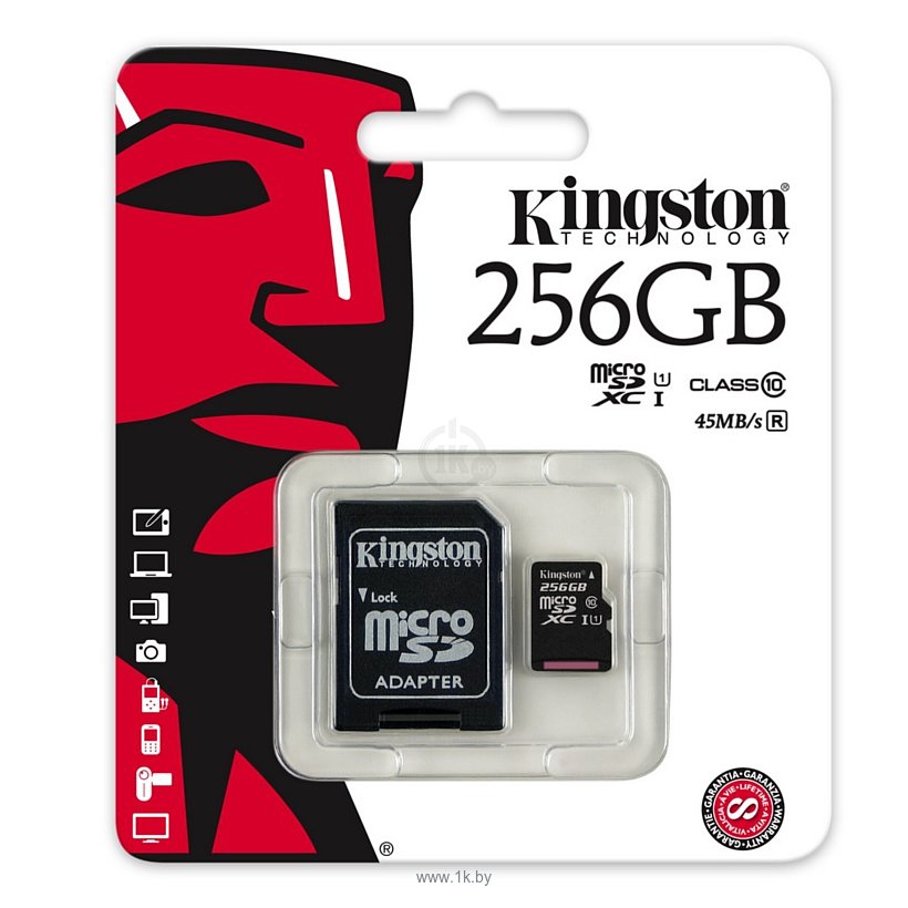 Фотографии Kingston SDC10G2/256GB