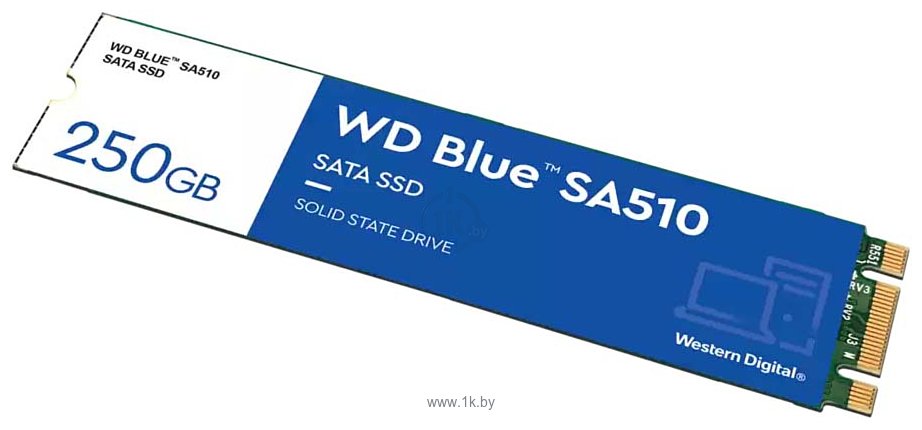 Фотографии Western Digital Blue SA510 250GB WDS250G3B0B