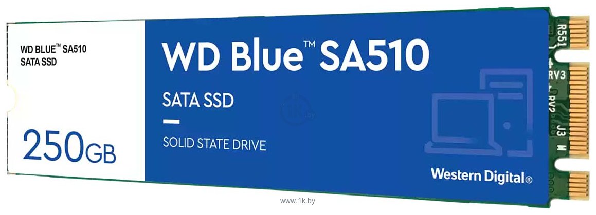 Фотографии Western Digital Blue SA510 250GB WDS250G3B0B