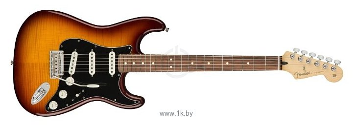 Фотографии Fender Player Stratocaster Plus Top