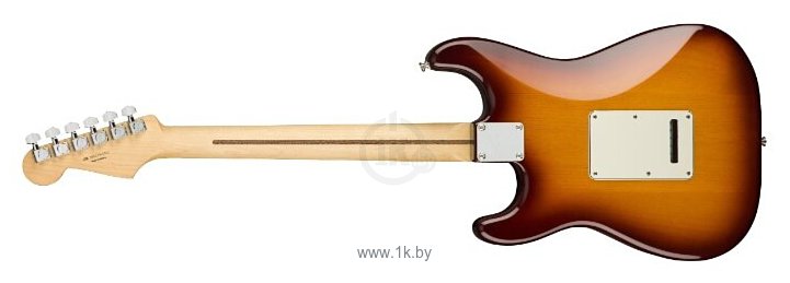 Фотографии Fender Player Stratocaster Plus Top