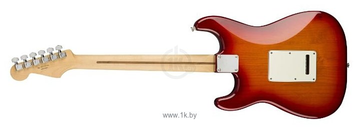Фотографии Fender Player Stratocaster Plus Top