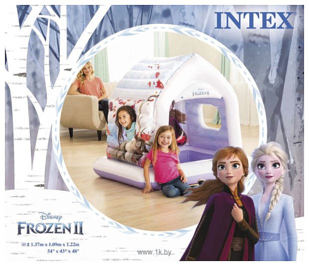 Фотографии Intex Frozen II 48632