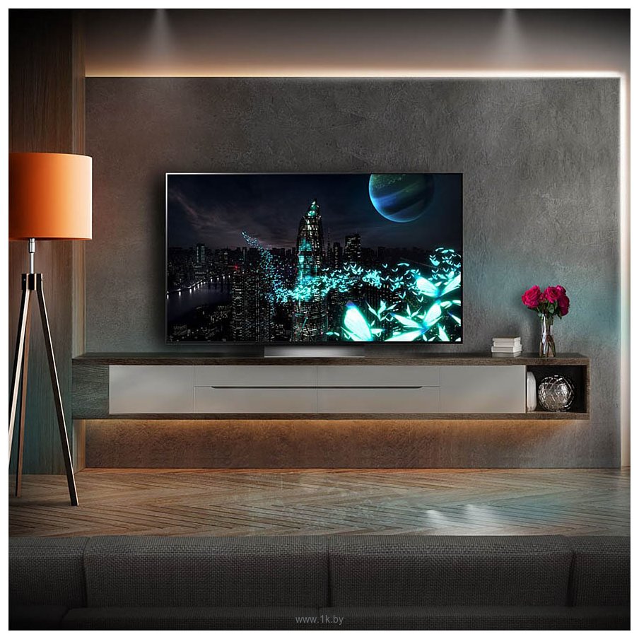 Фотографии LG C2 OLED55C24LA