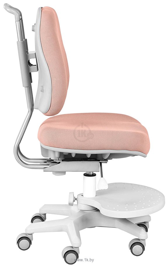 Фотографии Anatomica Study-100 Lux + органайзер со светло-розовым креслом Ragenta (клен/серый)