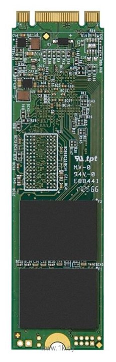 Фотографии Transcend TS1TMTS800S