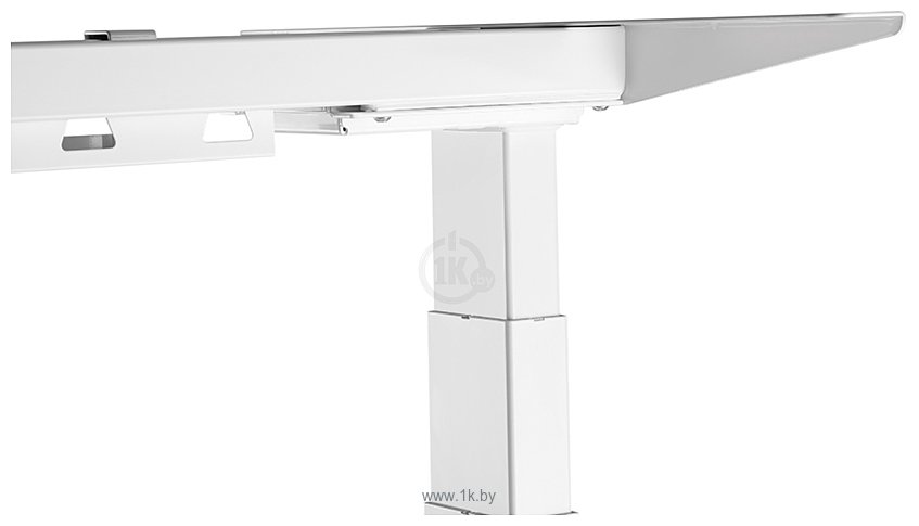 Фотографии ErgoSmart Unique Ergo Desk 1380x800x18мм (альпийский белый/белый)