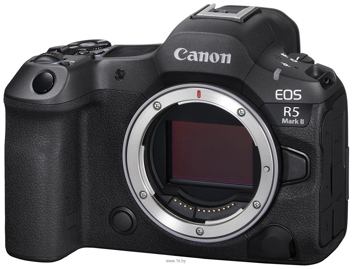 Фотографии Canon EOS R5 Mark II Body